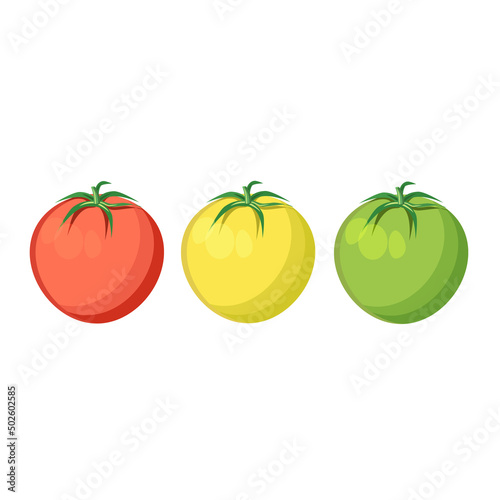 Three tomatoes red  yellow  green isolated on a white background.Vector illustration of vegetables.