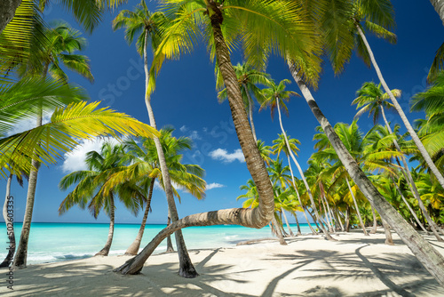 Insel Saona Dominikanische Republik