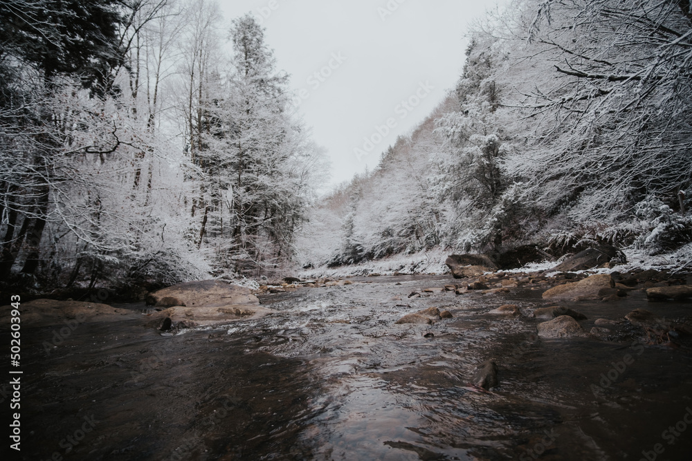 Snowy river landscape