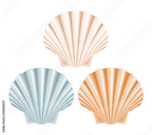 Set of sea shells clipart in flat design