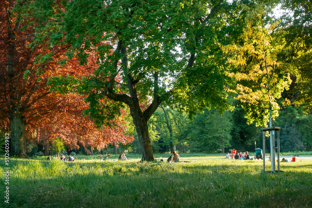 Naklejka premium im Volksgarten Düsseldorf