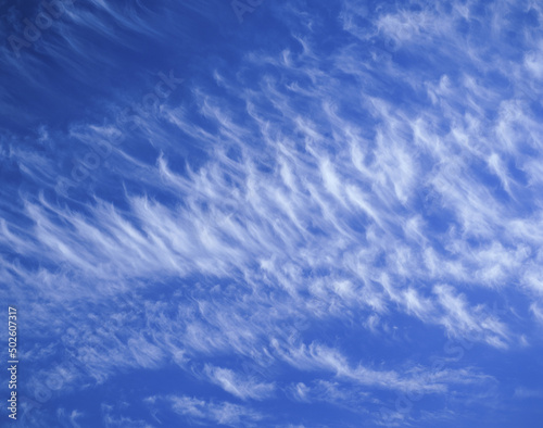 Wispy clouds in a blue sky photo