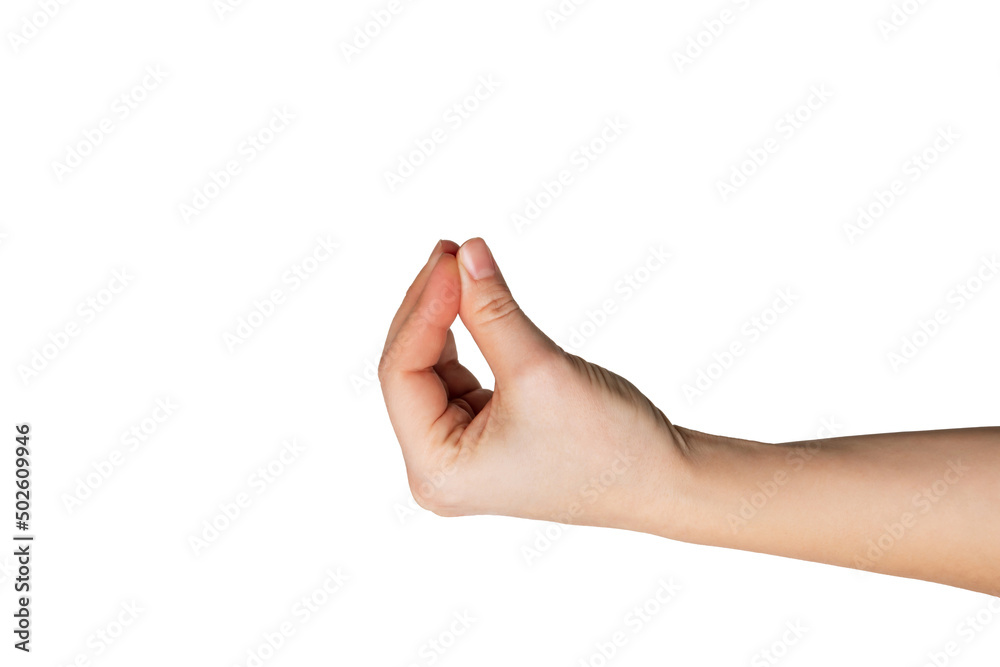 A caucasian female hand with closed fingers makes a gesture like holding something isolated on a white background. Mockup with empty copy space for a intended object A caucasian female hand with closed fingers makes a gesture like holding something isolated on a white background. Mockup with empty copy space for a intended object