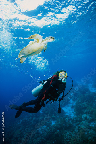 Person scuba diving, Bonaire, Netherlands Antilles photo