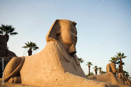 Egypt, Luxor, Luxor Temple, Avenue of the Sphinxes photo
