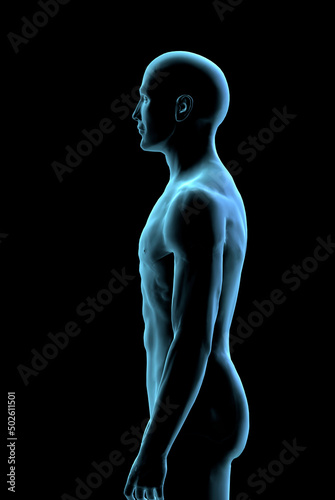 Male spine side view in blue X-ray 2 by Hank Grebe photo