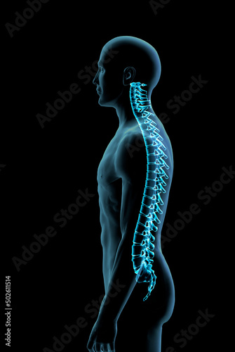 Male spine side view in blue X-ray, Digitally Generated Image by Hank Grebe photo