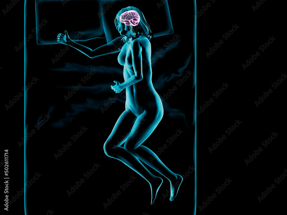 Illustration of a woman sleeping with brain highlighted Illustration of a woman sleeping with brain highlighted