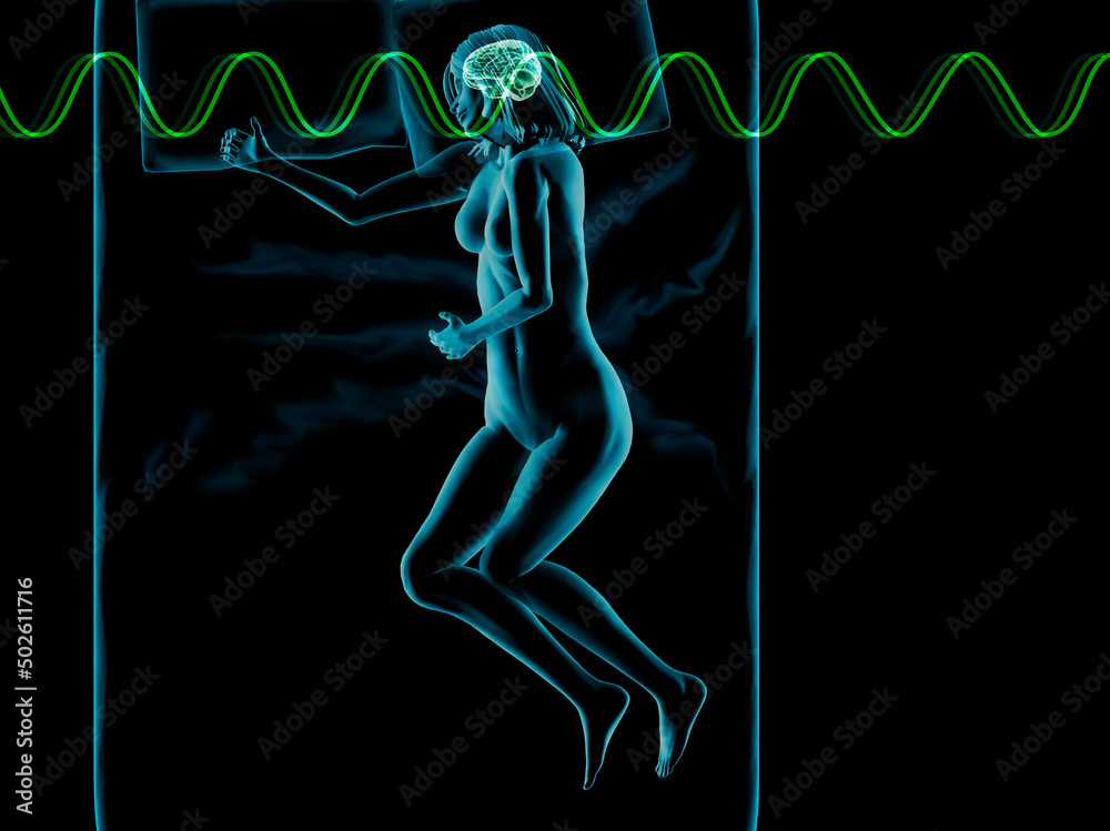 Illustration of a woman sleeping with brain highlighted Illustration of a woman sleeping with brain highlighted