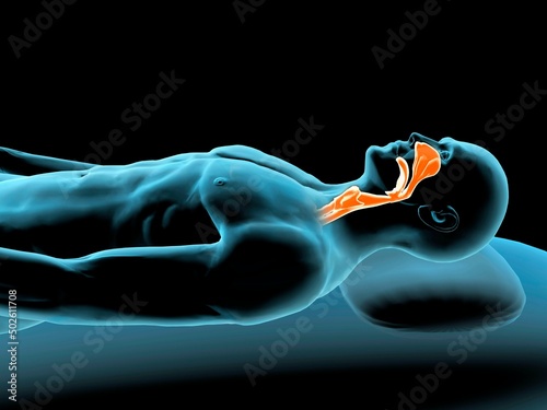 X-ray view of a man resting with red highlighted nasal sinus and throat