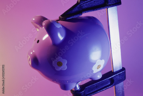 Piggy bank on a clamp photo