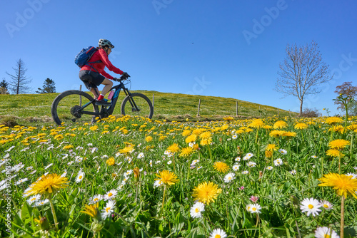 pretty senior woman riding her electric mountain bike in springtime in the Allgau mountains near Oberstaufen, with blooming spring flowers in the Foreground, Bavaria, Germany