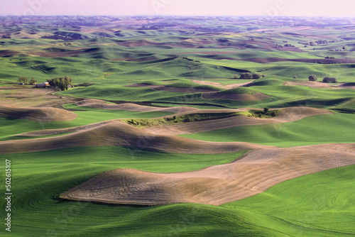 High angle view of rolling landscape, Steptoe Butte State Park, Washington State, USA