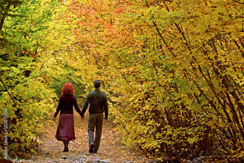 Rear view of a young couple walking in a forest, Stevens Pass, Washington, USA