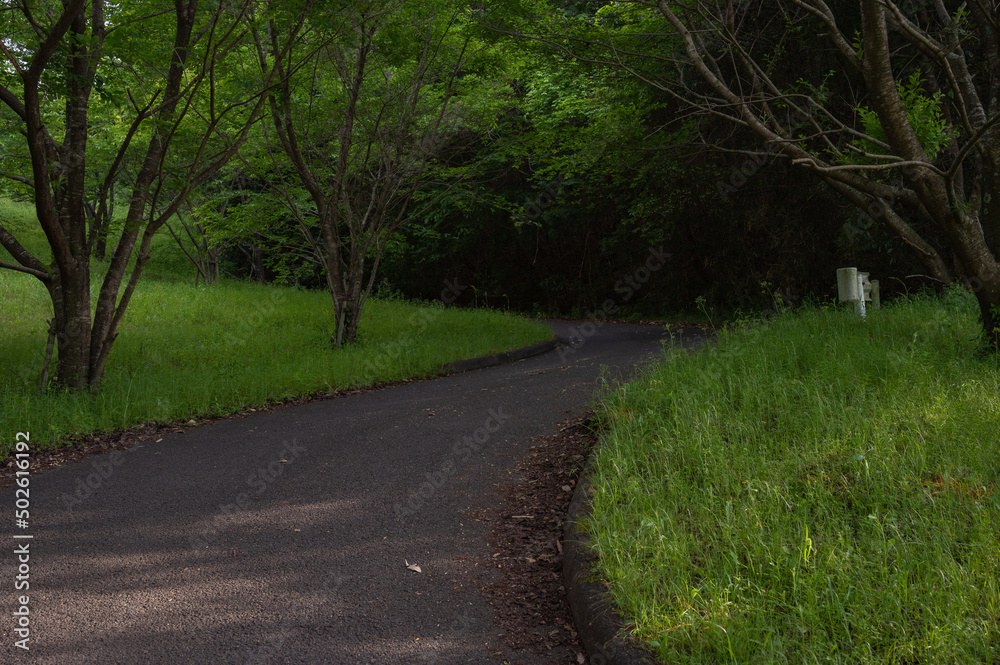 Obraz premium 山道