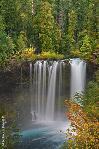 Waterfall in a forest, Koosah Falls, McKenzie River, Willamette National Forest, Oregon, USA photo
