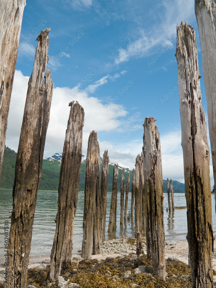 Pilings at the seaside, Treadwell Mine, Douglas Island, Juneau, Alaska, USA Pilings at the seaside, Treadwell Mine, Douglas Island, Juneau, Alaska, USA