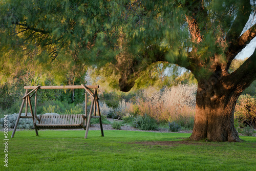 Mexico, Tecate, Rancho La Puerta, Swing seat in garden photo