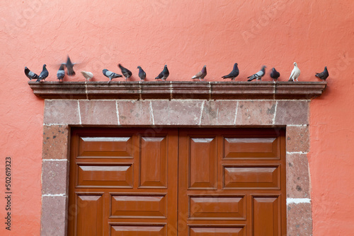 Mexico, Guanajuato, San Miguel de Allende, Doves perching on moulding above door photo