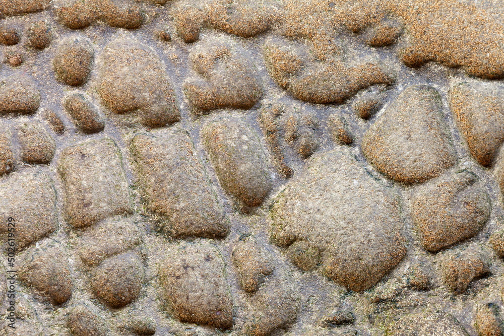 USA, Washington State, San Juan Islands, Patos Island, Abstract rock patterns USA, Washington State, San Juan Islands, Patos Island, Abstract rock patterns