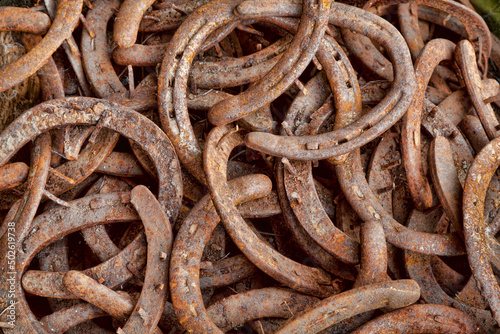 USA, Washington State, Stehekin, North Cascades National Park, Historic Buckner Orchard and Homestead, Buckner Homestead Heritage Foundation, Pile of Rusty Horseshoes photo