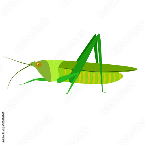 Locust grasshopper icon, pest control insect, vector isolated. Pest control disinfection, extermination and disinfection. Domestic and agriculture insects disinfestation