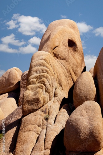 USA, California, Joshua Tree National Park, Elephant Rock photo