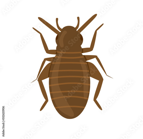 Book lice flat icon on white transparent background. You can be used book lice icon for several purposes. photo