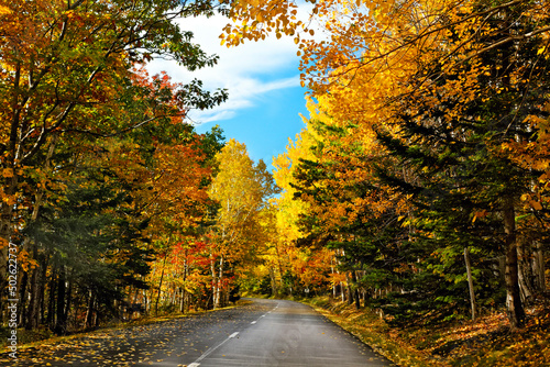 USA, Maine, Mt Desert Island, Acadia National Park, Autumn scenic drive