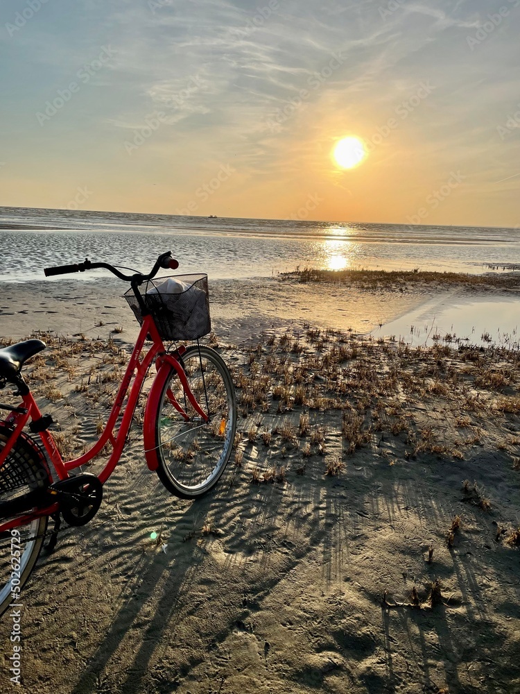Fototapeta premium Sunset in bicycle