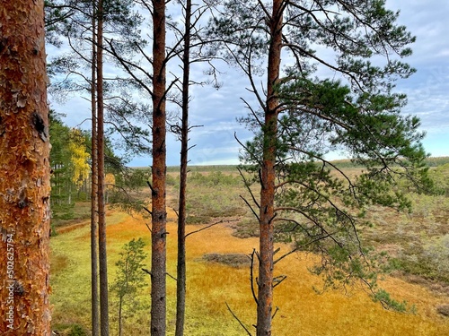Autumn in Estonia