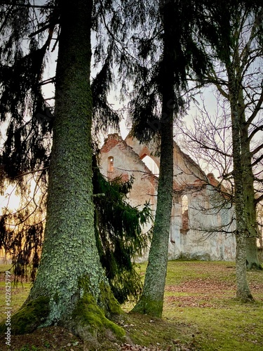 Ruins in the forest