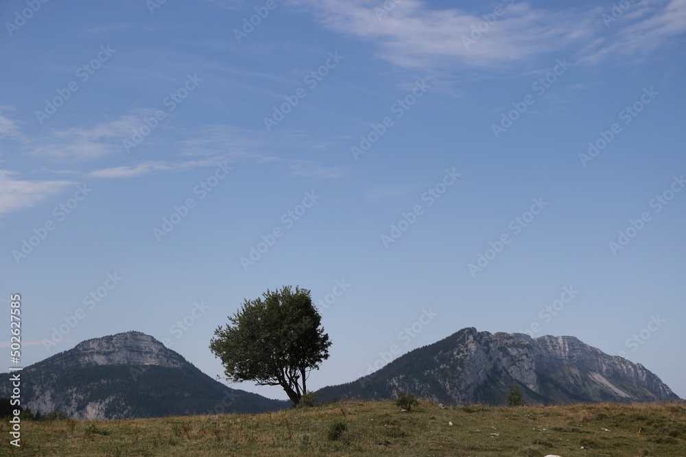 Obraz premium Crète , Grèce, montagne et végétation