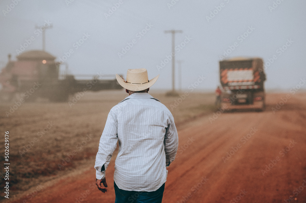 cowboy at a soybean plantation