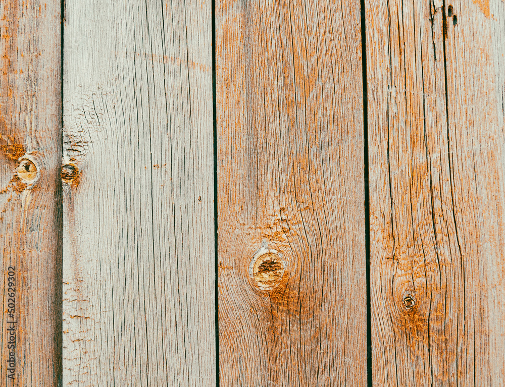 Texture wooden closeup. Natural wood texture. CloseUp.