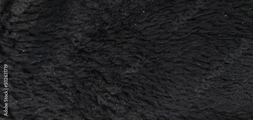Smooth soft dirty black color furry, fluffy and hairy artificial sheep skin plush fur wool rug texture cloth knitted coarse background surface pattern for beauty and fashion concepts. Close up view.
