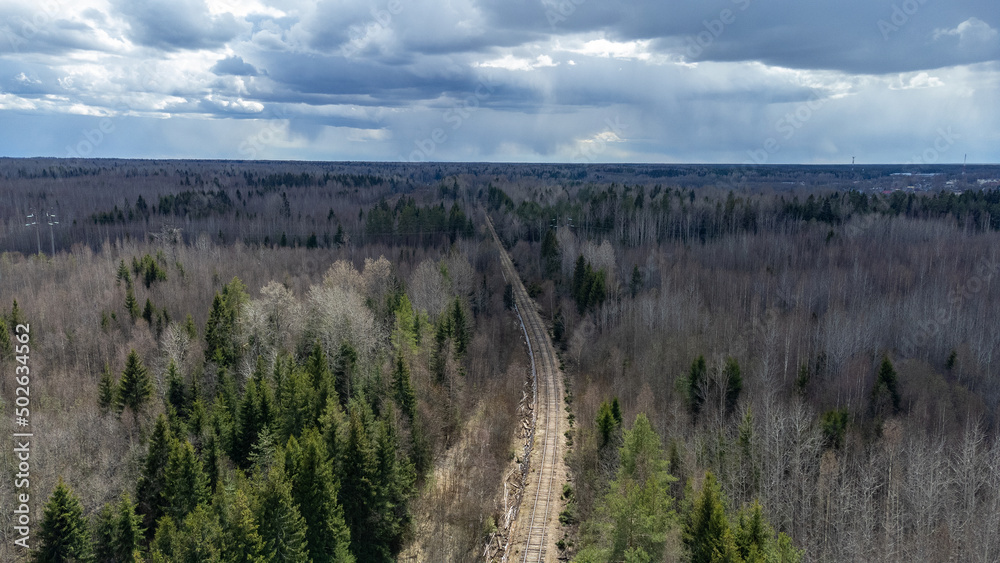 Top view of spring forest with the old railroad. beautiful landscape. natural background Top view of spring forest with the old railroad. beautiful landscape. natural background