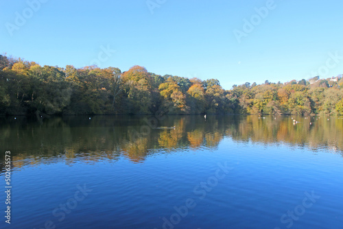  Lake at Stover Country Park, Devon, in autumn 