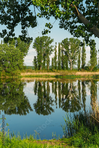 springtime by the lake
