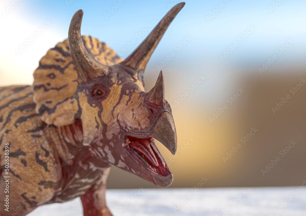 triceratops on snow background close up with copy space triceratops on snow background close up with copy space
