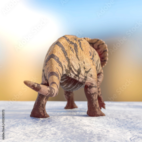 Fototapeta Naklejka Na Ścianę i Meble -  triceratops is walking way on snow background rear view