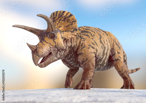 triceratops is walking on snow background © DM7