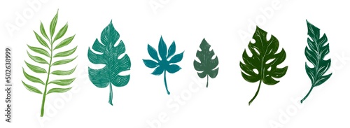 Hand drawn watercolour exotic leaves, illustration set, monstera collection clip art, exotic floral decor isolated on white background, postcard design 