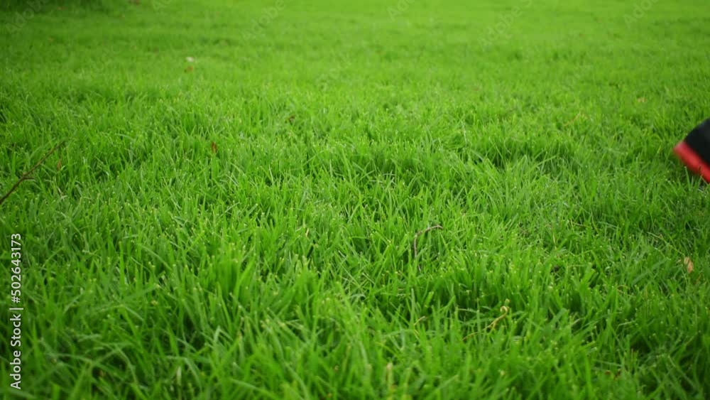 Man kicking and moving a white soccer ball with on grass Man kicking and moving a white soccer ball with on grass