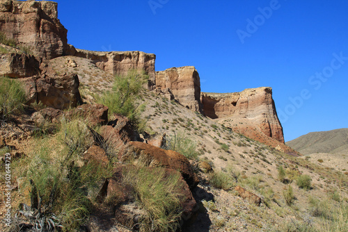 On the slope of the mountain there are beautiful relief sandy-clay rocks in the Temirlik canyon, in the foreground there are stones with bushes, summer, clear sky, sunny photo