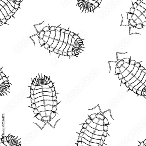 Seamless pattern of monochrome woodlouse illustration. Vector illustration template
