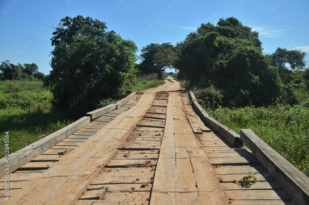 ponte pantanal 2