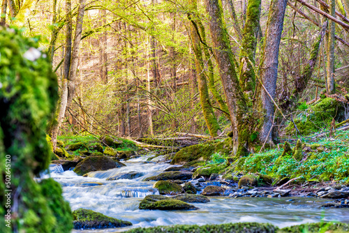 Gef  lle auf dem D  rsbach im Taunus