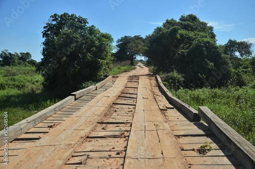 ponte pantanal 2 photo