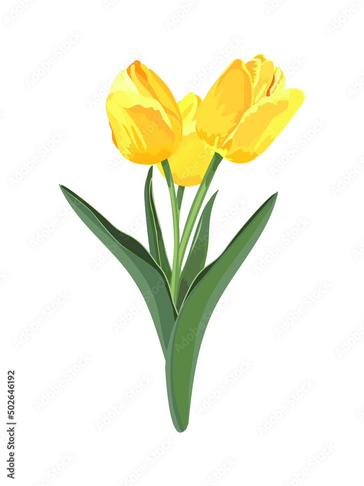 Bouquet of yellow tulips. Vector stock illustration eps10.